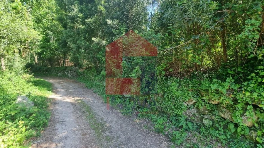 Terreno para Venda em Balança Foto 26