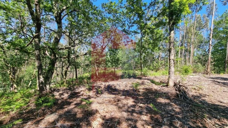 Terreno para Venda em Balança Foto 7