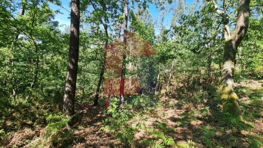 Terreno para Venda em Balança Foto 21