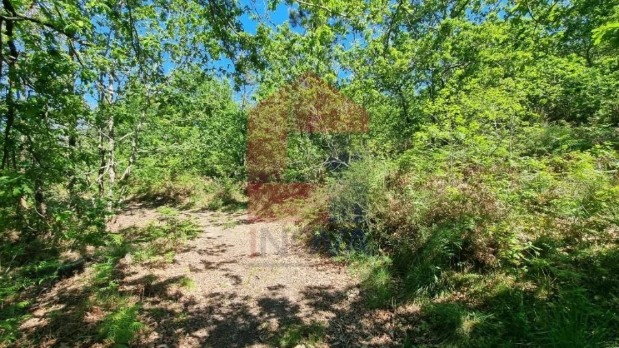 Terreno para Venda em Balança Foto 19