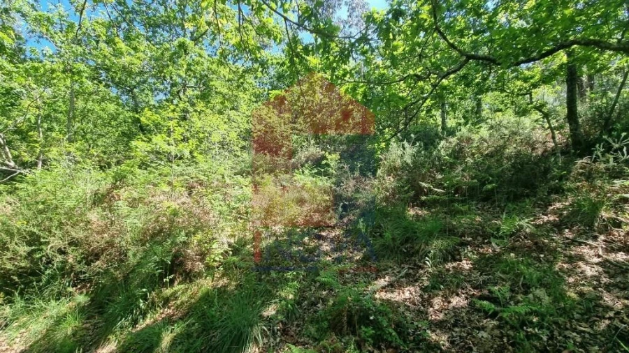 Terreno para Venda em Balança Foto 20