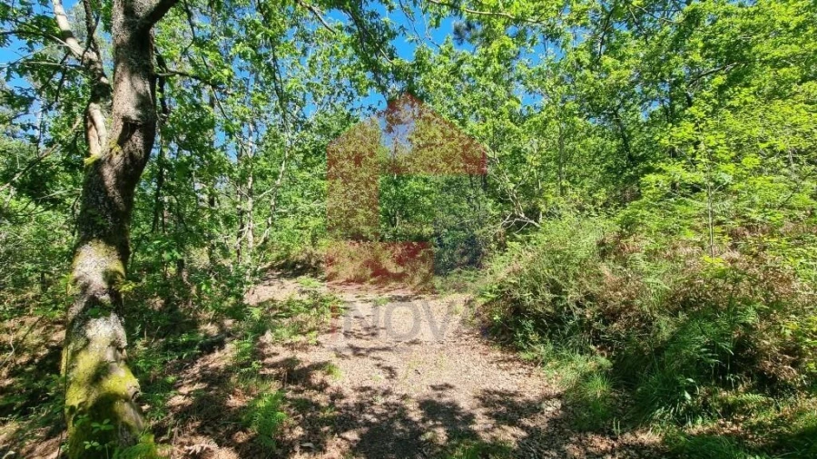 Terreno para Venda em Balança Foto 23