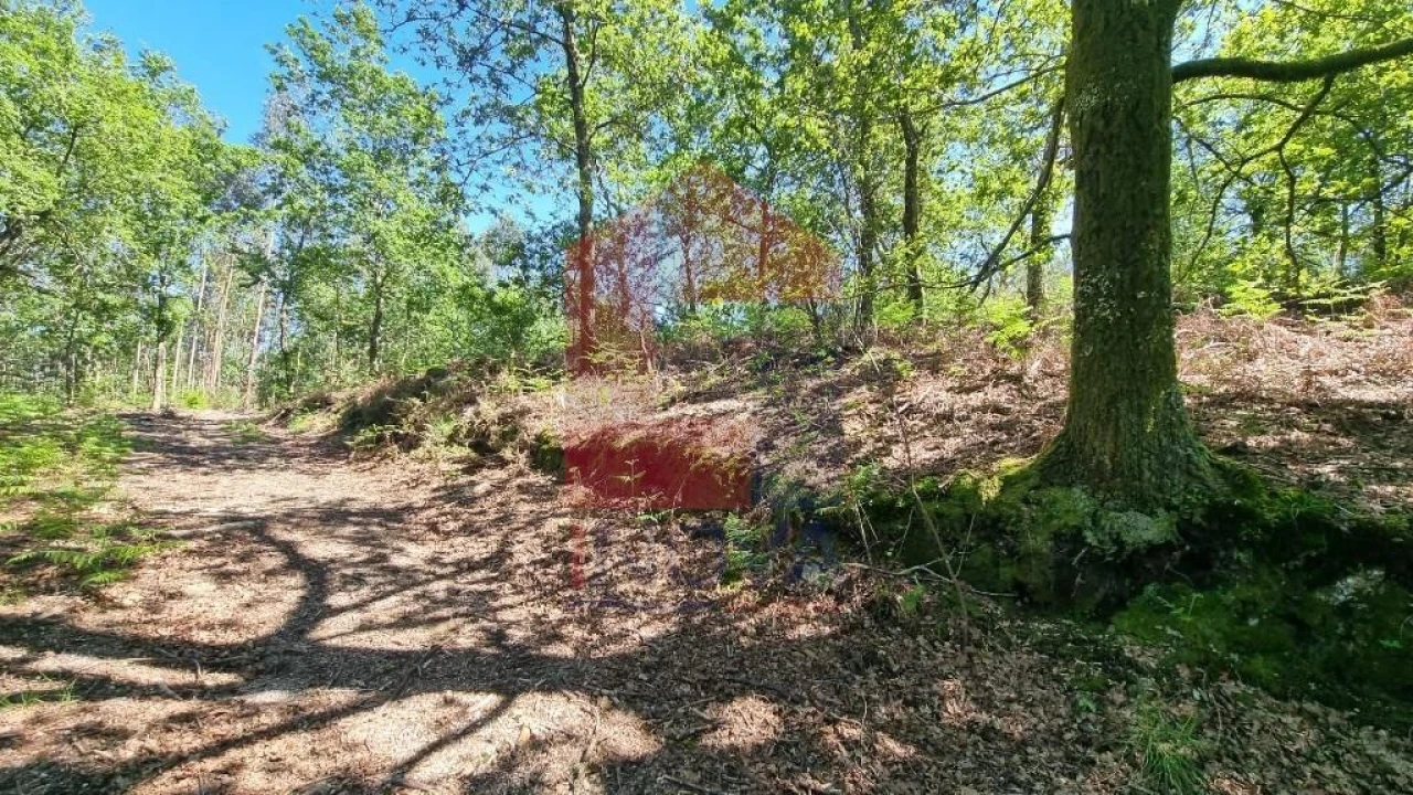 Terreno para Venda em Balança Foto 11
