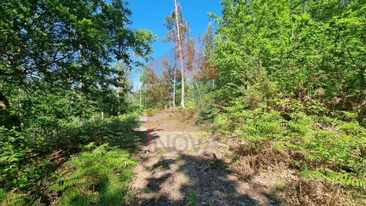 Terreno para Venda em Balança Foto 14