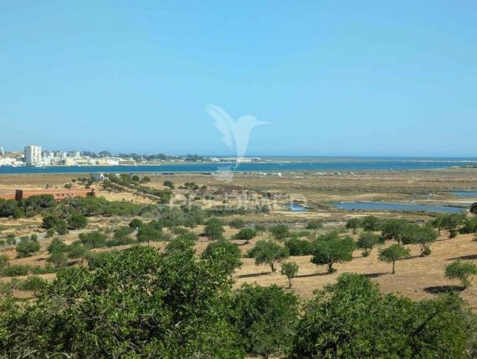 Terreno para Venda em Castro Marim Foto 11