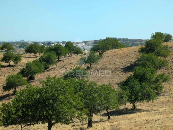 Terreno para Venda em Castro Marim Foto 9