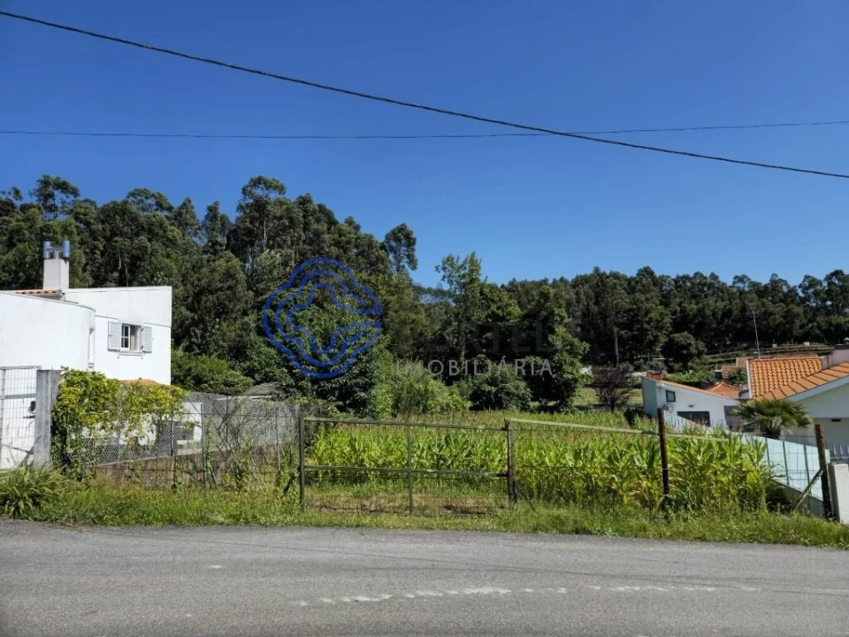 Terreno para Venda em São João de Ver Foto 4