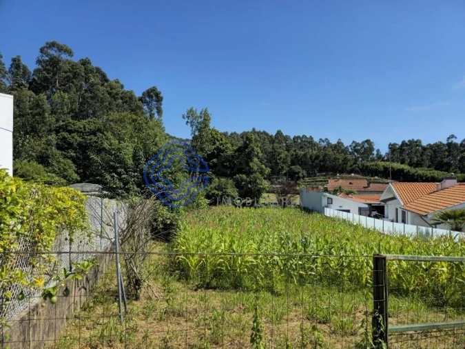 Terreno para Venda em São João de Ver Foto 8