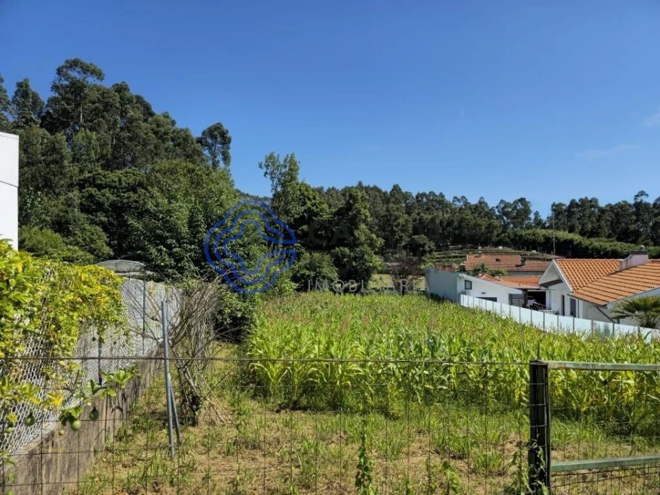 Terreno para Venda em São João de Ver Foto 8