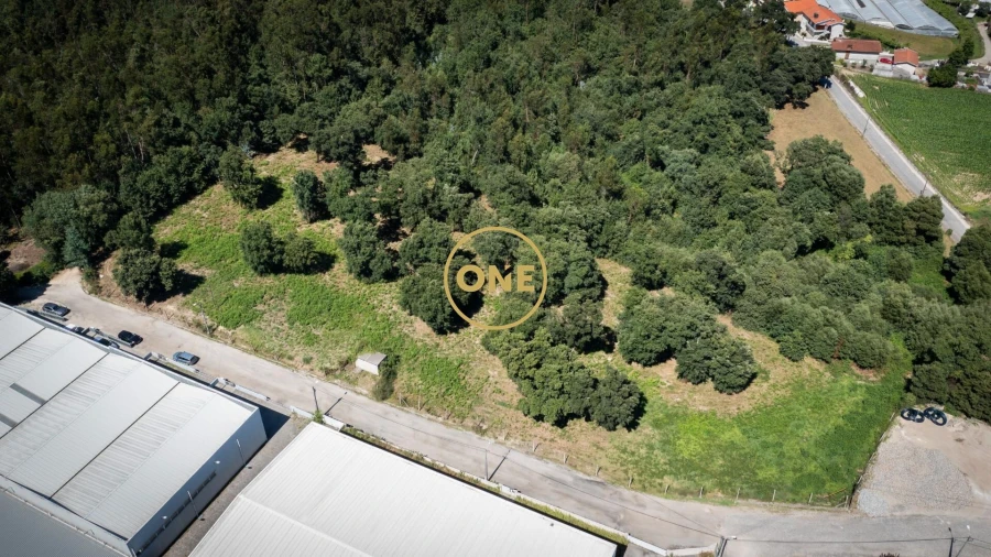 Terreno para Venda em Areias, Sequeirô, Lama e Palmeira Foto 6