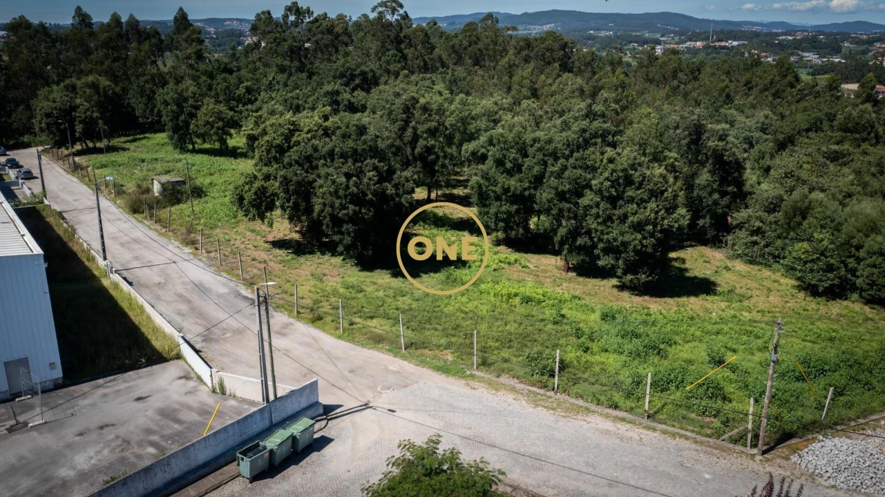 Terreno para Venda em Areias, Sequeirô, Lama e Palmeira Foto 4