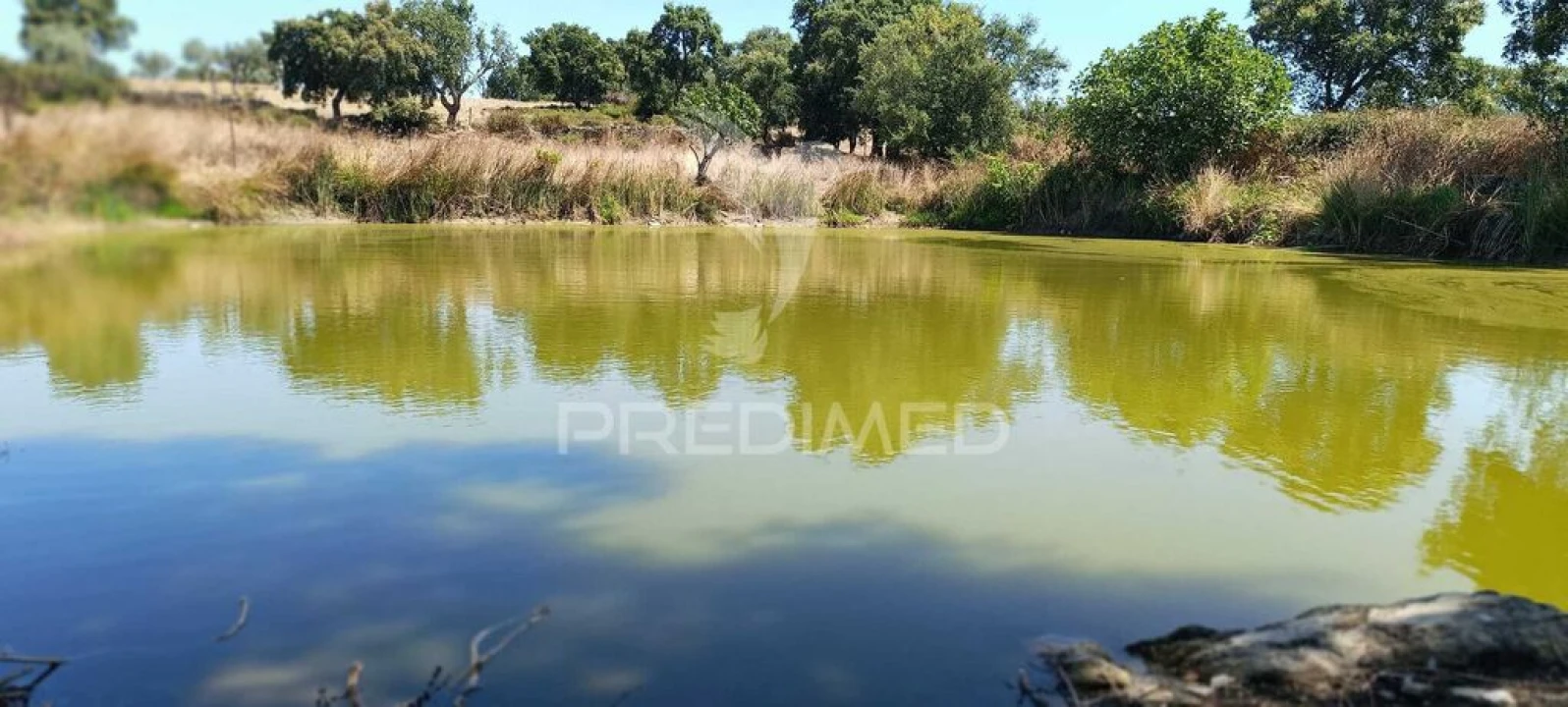 Terreno para Venda em Montalvão Foto 16