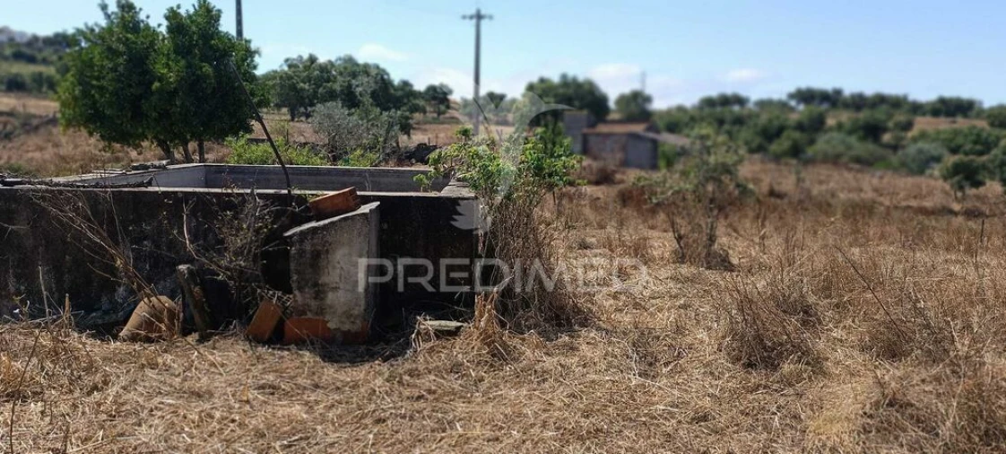 Terreno para Venda em Montalvão Foto 18