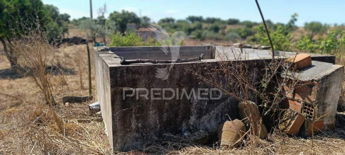 Terreno para Venda em Montalvão Foto 13