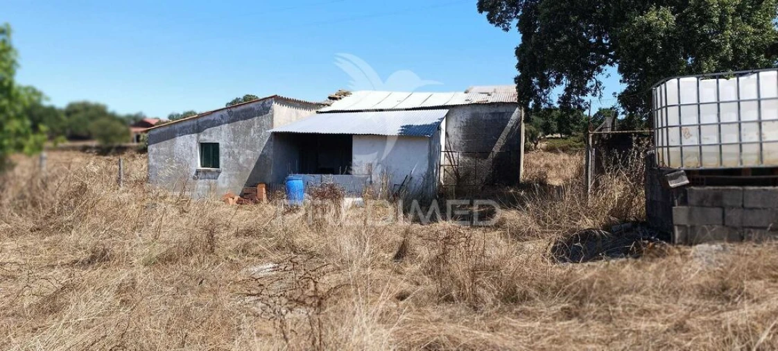 Terreno para Venda em Montalvão Foto 11