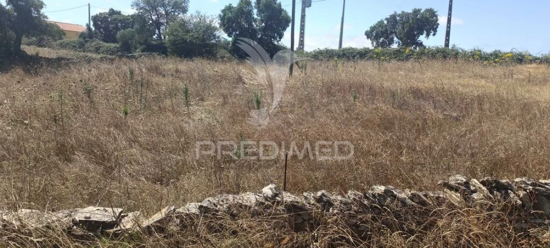 Terreno para Venda em Montalvão Foto 8