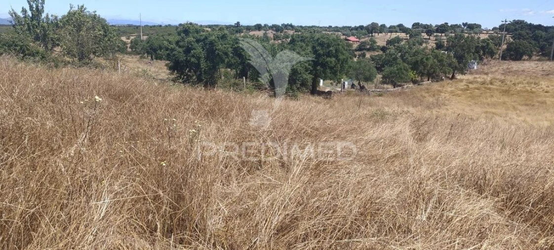 Terreno para Venda em Montalvão Foto 4