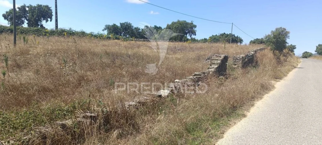 Terreno para Venda em Montalvão Foto 7