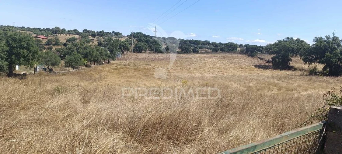 Terreno para Venda em Montalvão Foto 5