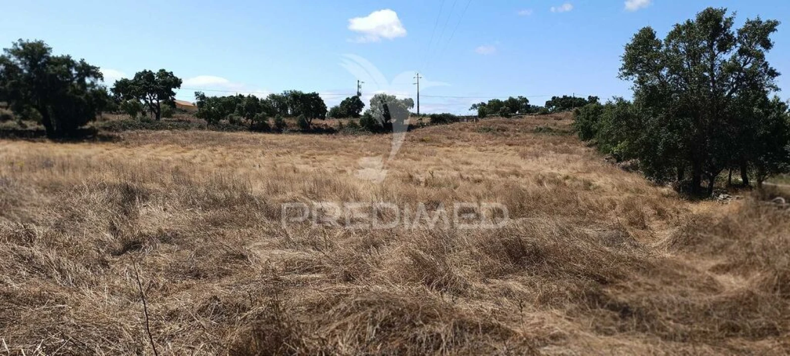 Terreno para Venda em Montalvão Foto 10