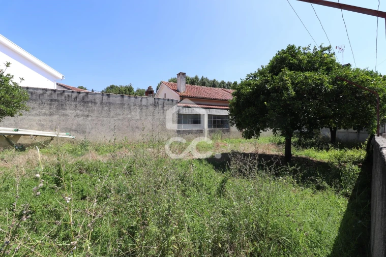 Moradia T4 para Venda em Cernache Foto 22