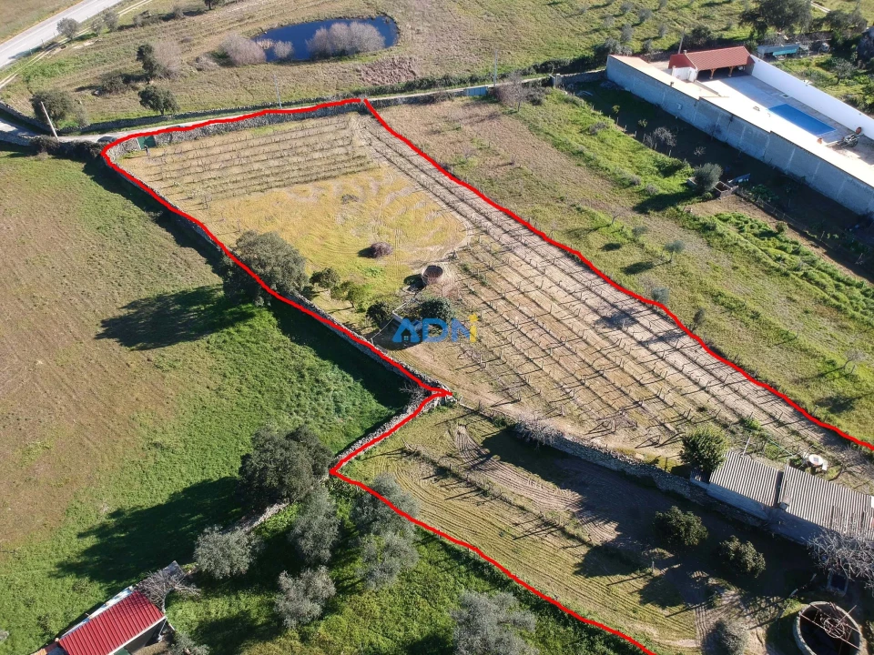 Terreno para Venda em Alcains Foto 10