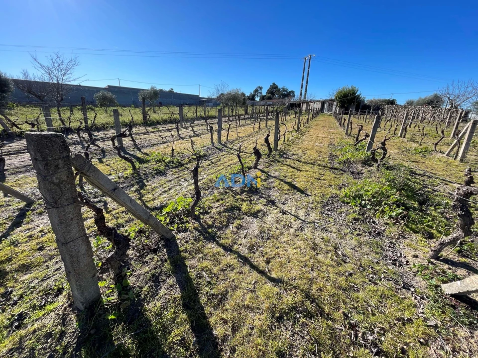 Terreno para Venda em Alcains Foto 3