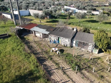 Terreno para Venda em Alcains
