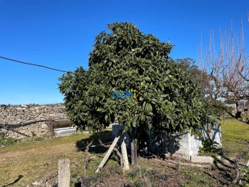 Terreno para Venda em Alcains