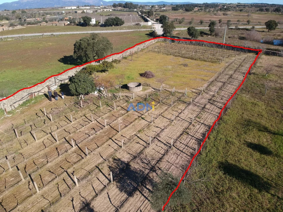 Terreno para Venda em Alcains Foto 13