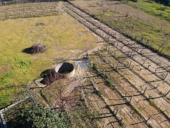 Terreno para Venda em Alcains Foto 11