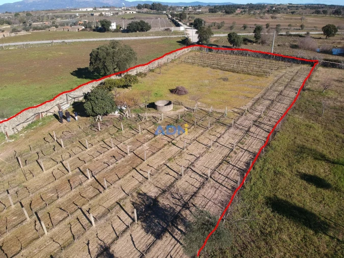 Terreno para Venda em Alcains Foto 13