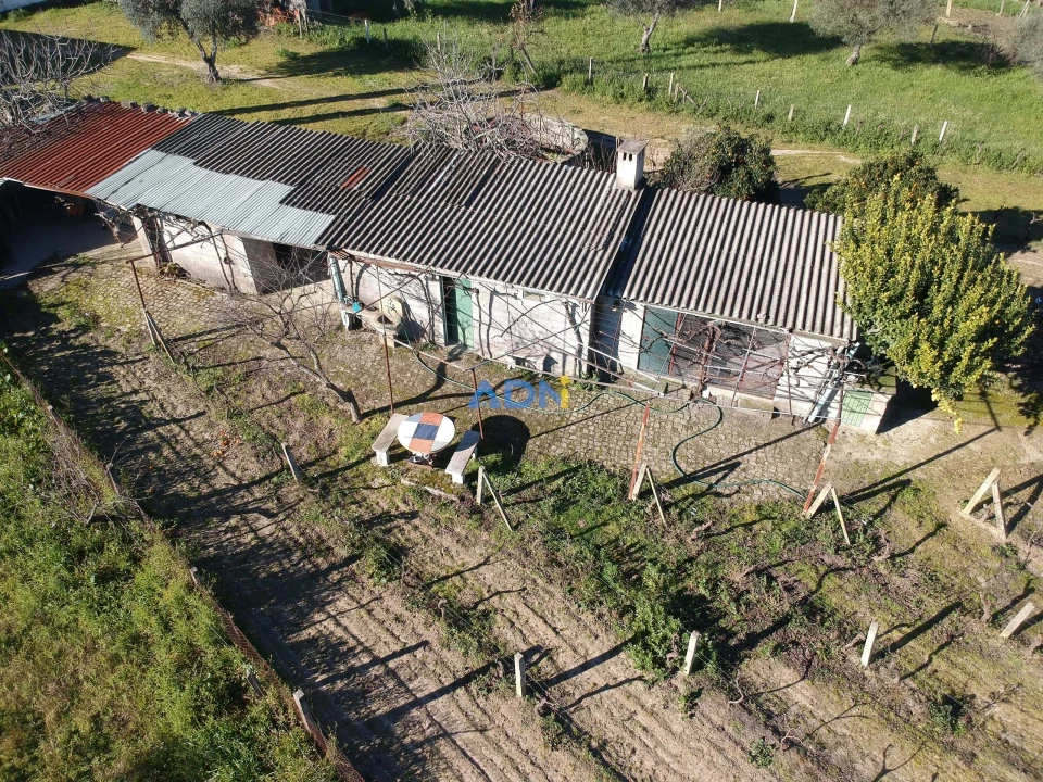 Terreno para Venda em Alcains Foto 1