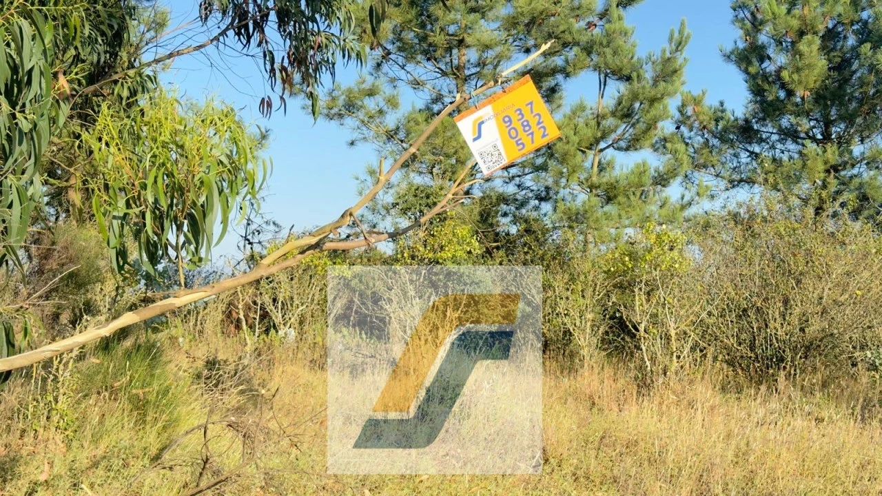 Terreno para Venda em Bombarral e Vale Covo Foto 1