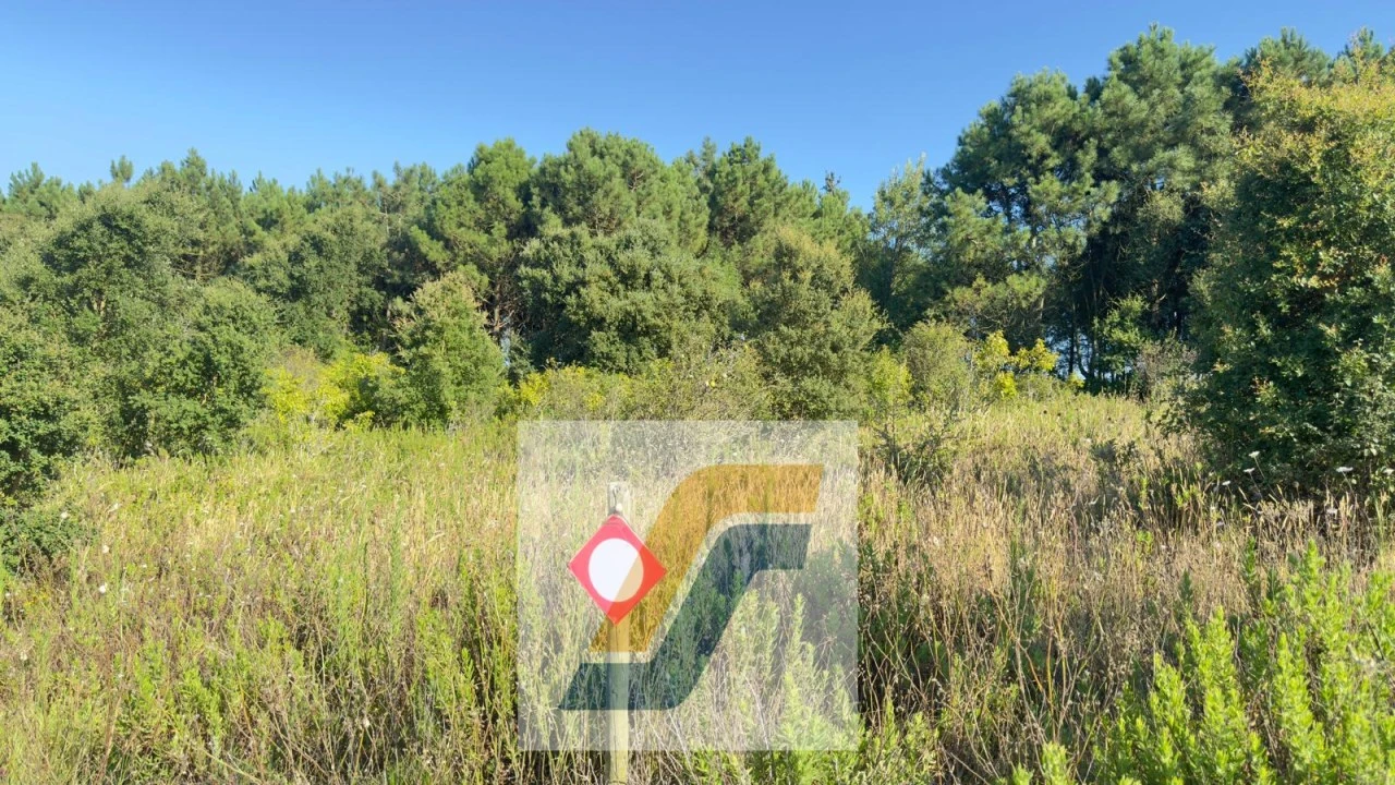 Terreno para Venda em Bombarral e Vale Covo Foto 8
