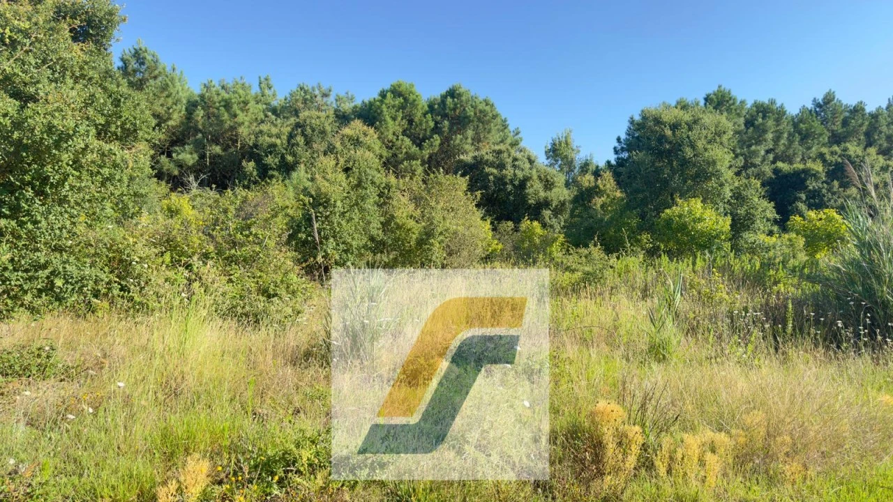 Terreno para Venda em Bombarral e Vale Covo Foto 9