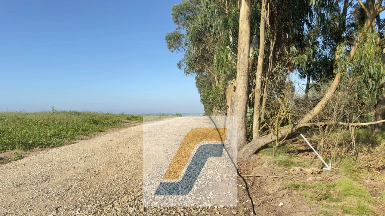 Terreno para Venda em Bombarral e Vale Covo Foto 21
