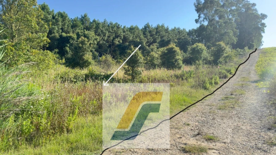 Terreno para Venda em Bombarral e Vale Covo Foto 4