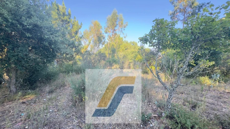 Terreno para Venda em Bombarral e Vale Covo Foto 6