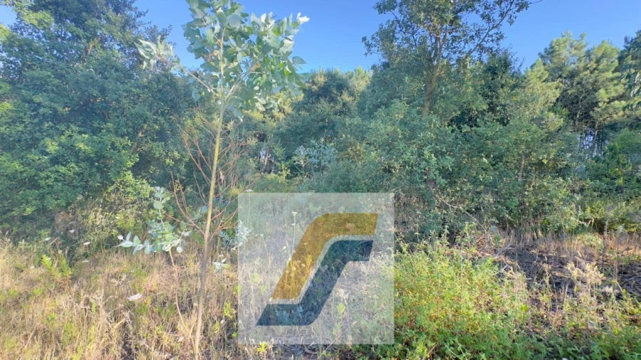 Terreno para Venda em Bombarral e Vale Covo Foto 20