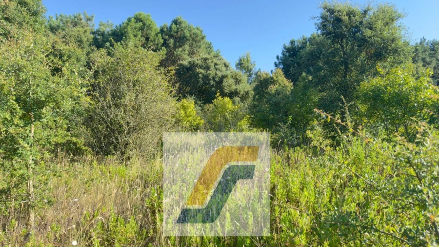 Terreno para Venda em Bombarral e Vale Covo Foto 22