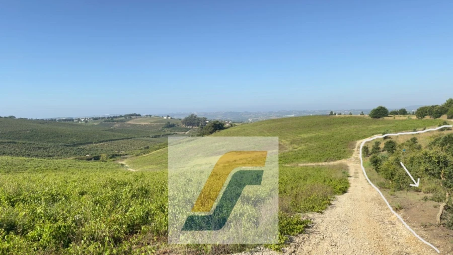 Terreno para Venda em Bombarral e Vale Covo Foto 25