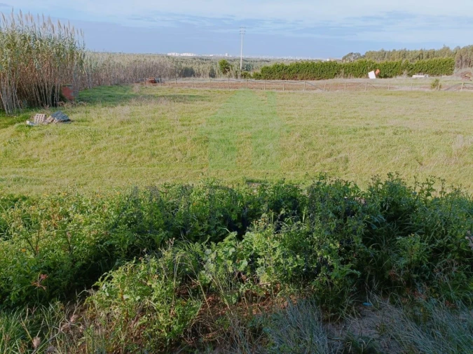 Moradia T5 para Venda em Ferrel Foto 12