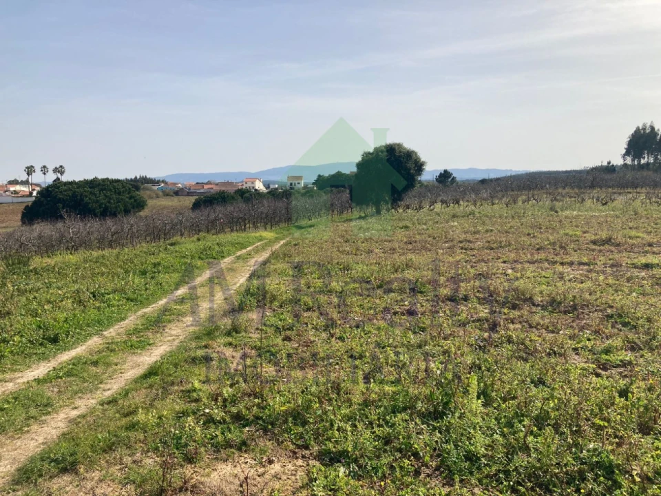 Terreno Misto para Venda em Moita dos Ferreiros Foto 2