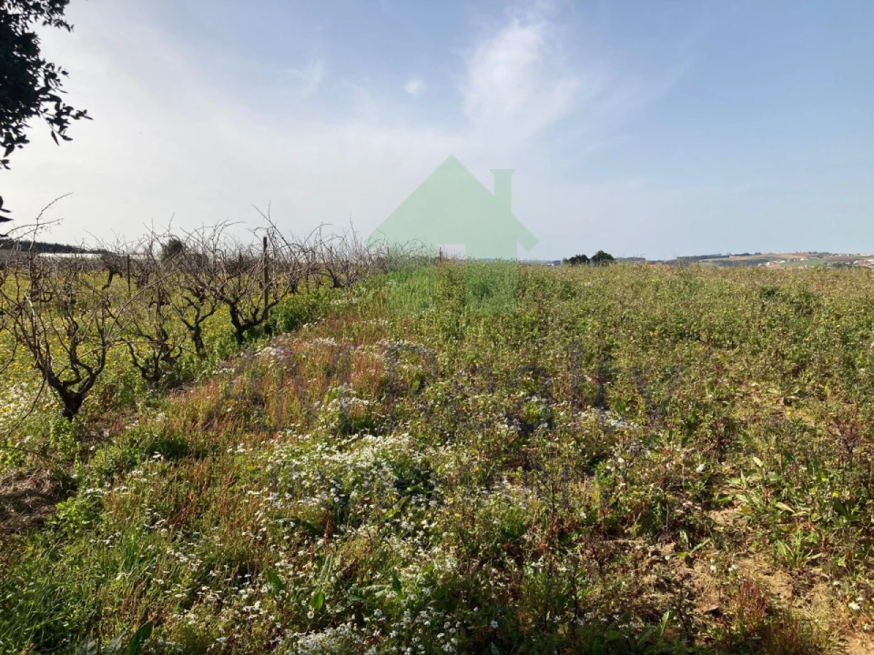 Terreno Misto para Venda em Moita dos Ferreiros Foto 1