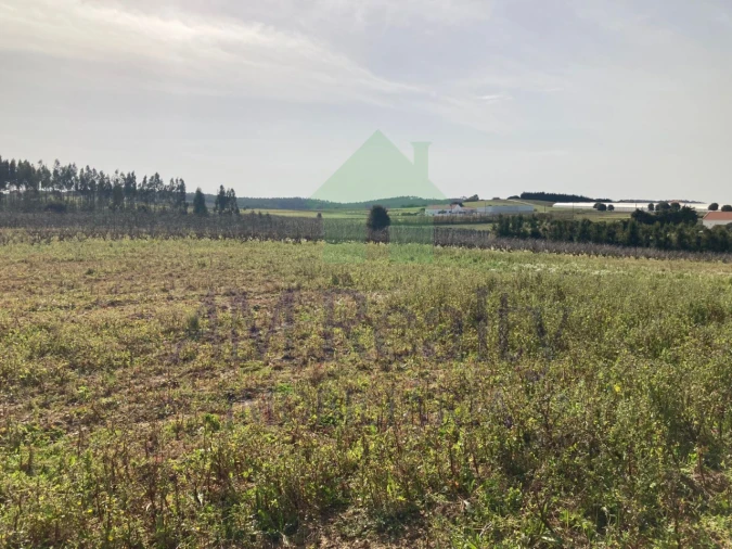 Terreno Misto para Venda em Moita dos Ferreiros Foto 3