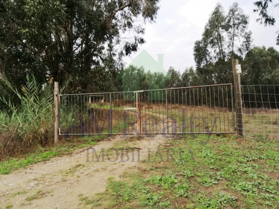 Terreno Agricola ou Rústico para Venda em Serra D'El-Rei Foto 1