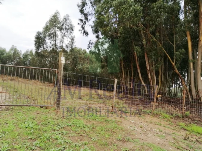 Terreno Agricola ou Rústico para Venda em Serra D'El-Rei Foto 4