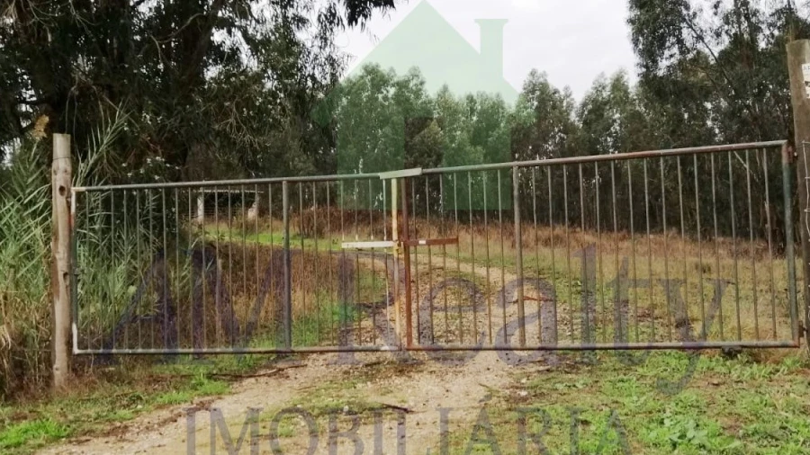 Terreno Agricola ou Rústico para Venda em Serra D'El-Rei