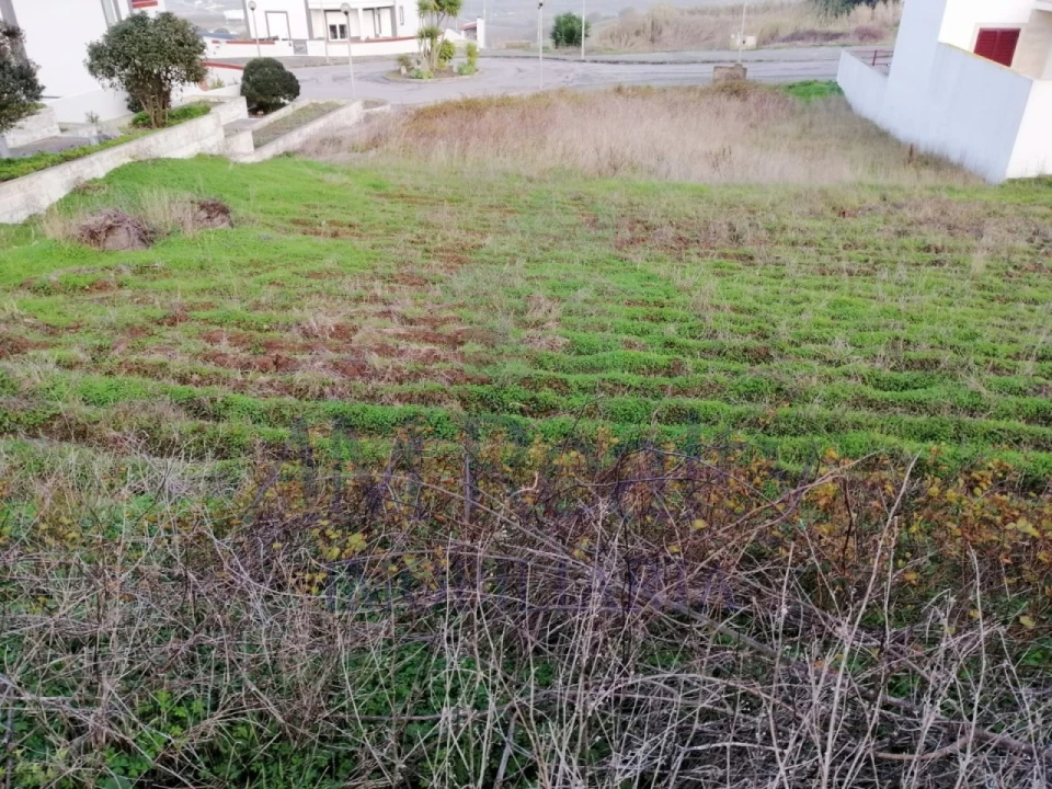 Terreno para Venda em Lourinhã e Atalaia Foto 3